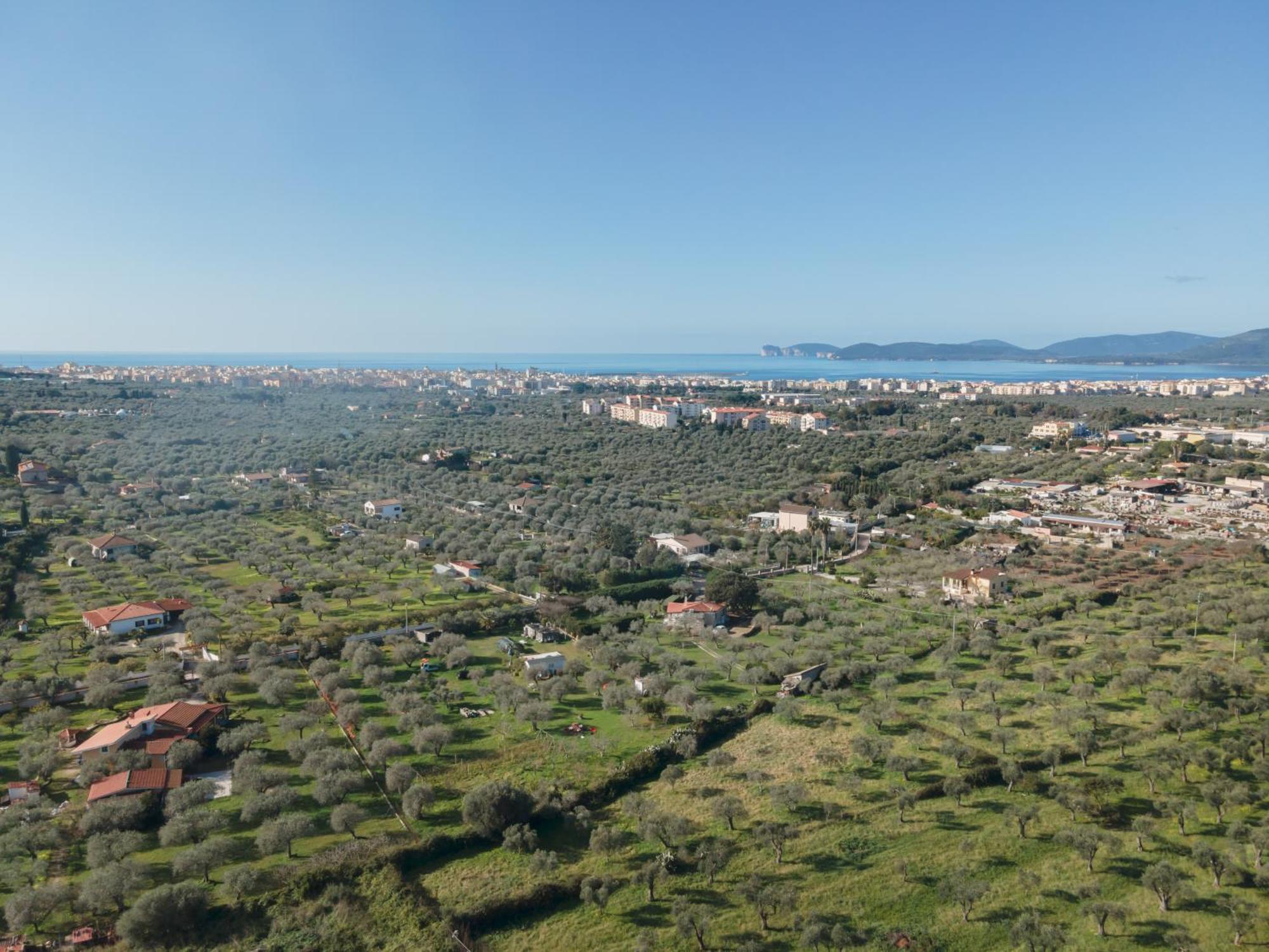 Villino Azul Apartamento Alghero Exterior foto